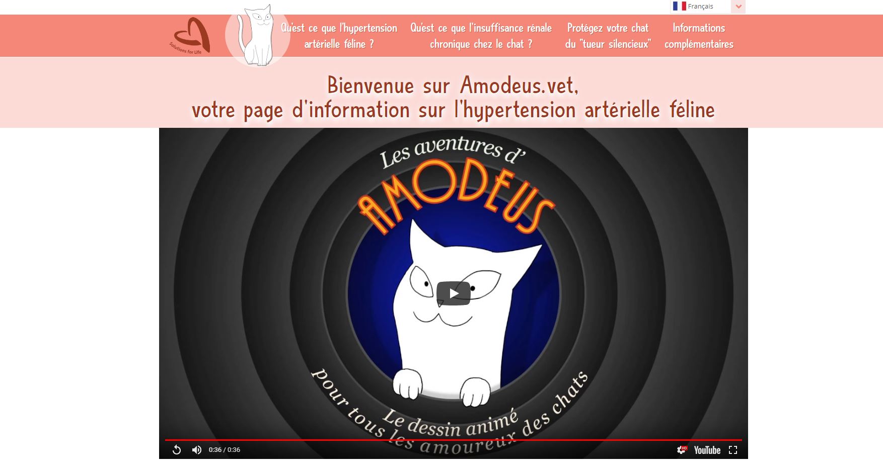 HYPERTENSION DU CHAT : ATTENTION !