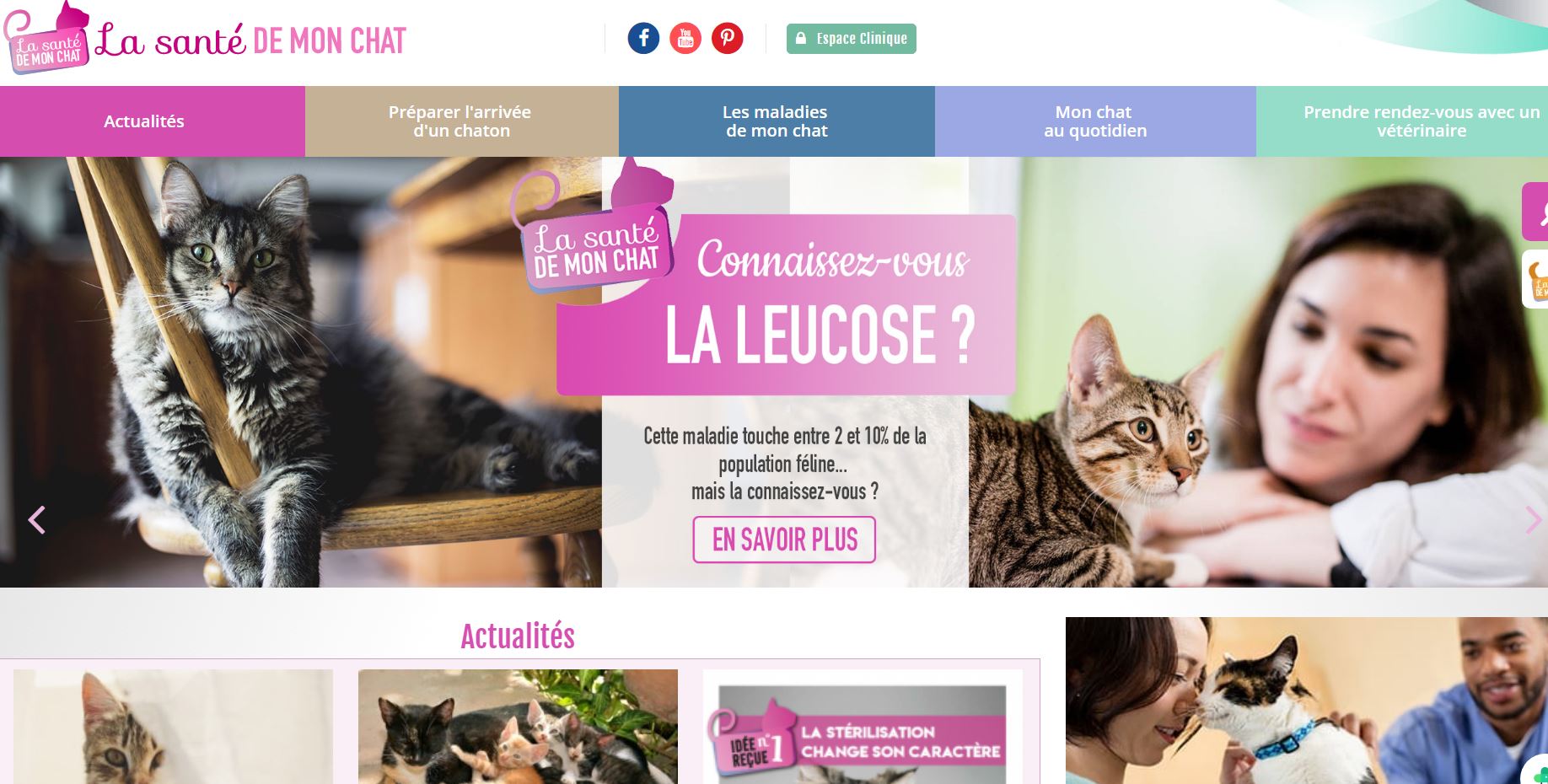 LA SANTE DE MON CHAT : SITE DEDIE