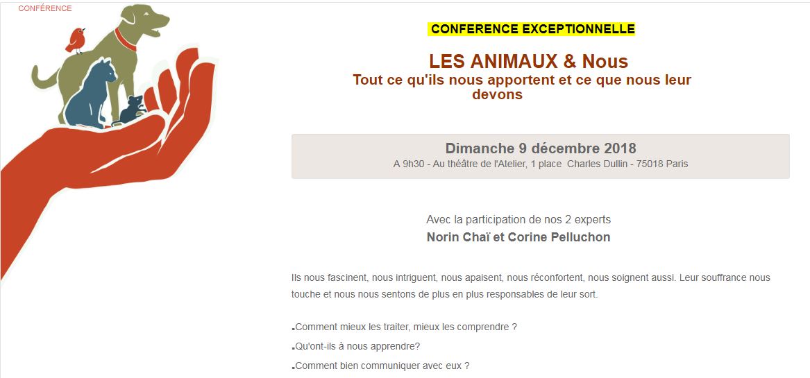 LES ANIMAUX & Nous